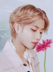 Фото №2 MJ