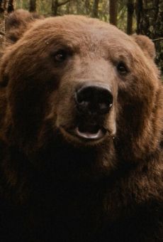 Изображение актера Том