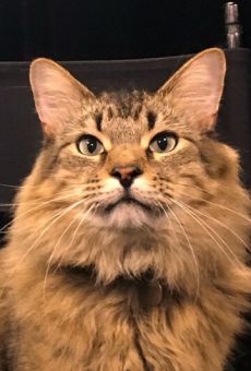 Изображение актера Тоник