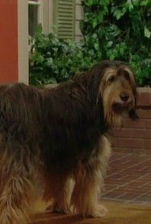 Изображение актера Бак