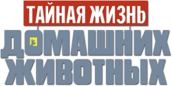 Тайная жизнь домашних животных (2016) смотреть онлайн