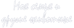 Моя семья и другие животные (1987) смотреть онлайн
