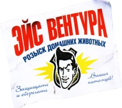 Эйс Вентура: Розыск домашних животных (1993)