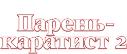 Парень-каратист 2 (1986) смотреть онлайн