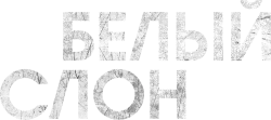 Белый слон (2022) смотреть онлайн