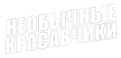 Необычные красавчики (2014) смотреть онлайн