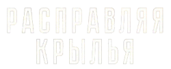 Расправляя крылья (2022) смотреть онлайн