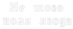 Не того поля ягода (2016) смотреть онлайн