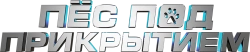 Пес под прикрытием (2019) смотреть онлайн