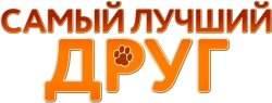 Самый лучший друг (2018) смотреть онлайн