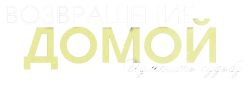 Возвращение домой (2011) смотреть онлайн