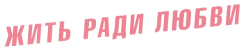 Жить ради любви (2018)