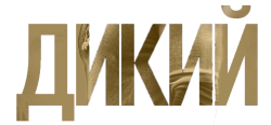 Дикий (2017) смотреть онлайн