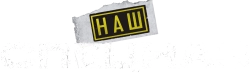 Наш спецназ (2022)