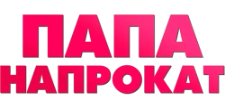 Папа напрокат (2013)
