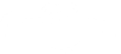 Смешарики снимают кино (2023)
