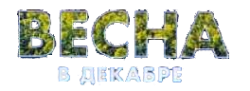 Весна в декабре (2011)