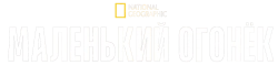 Маленький огонёк (2023) смотреть онлайн