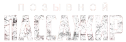 Позывной «Пассажир» (2023)