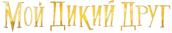 Мой дикий друг (2024) смотреть онлайн