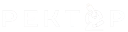 Ректор (2024) смотреть онлайн
