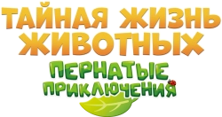Большой пернатый побег / KATURI the Movie: The Big City Adventure (2022) смотреть онлайн