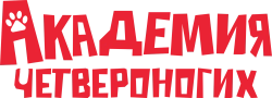 Академия четвероногих / Gli addestratori (2024) смотреть онлайн