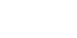 Птица / Bird (2024) смотреть онлайн
