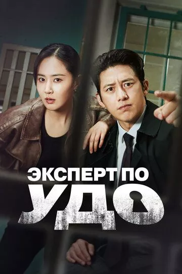 Эксперт по УДО / Gaseokbang simsagwan Lee Hansin (2024) смотреть онлайн