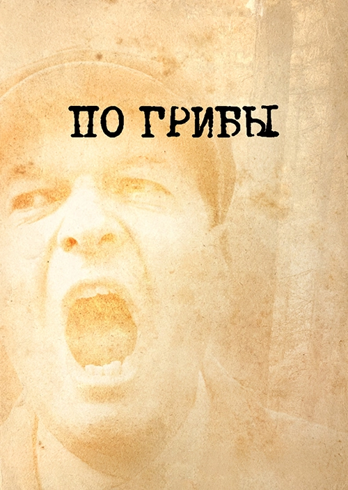 Постер По грибы (2012)