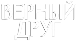 Верный друг / The Friend (2024) смотреть онлайн