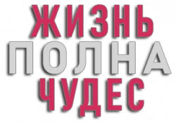 Логотип Жизнь полна чудес (2015)