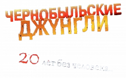Логотип Чернобыльские джунгли. 20 лет без человека (2005)