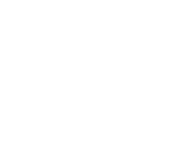 Логотип Эскорт (2021)