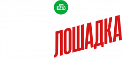 Логотип Тёмная лошадка (2022)