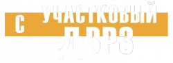 Логотип Участковый с ДВРЗ (2020)