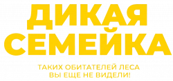 Логотип Дикая семейка (2024)