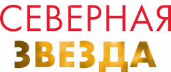 Логотип Северная звезда (2019)