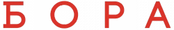 Логотип Бора (2025)