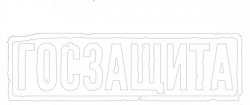 Логотип Госзащита (2025)