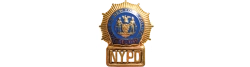 Логотип Полиция Нью-Йорка (1993)