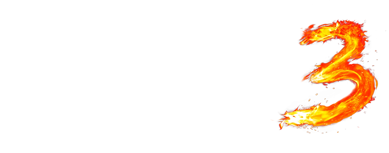 Перевозчик 3